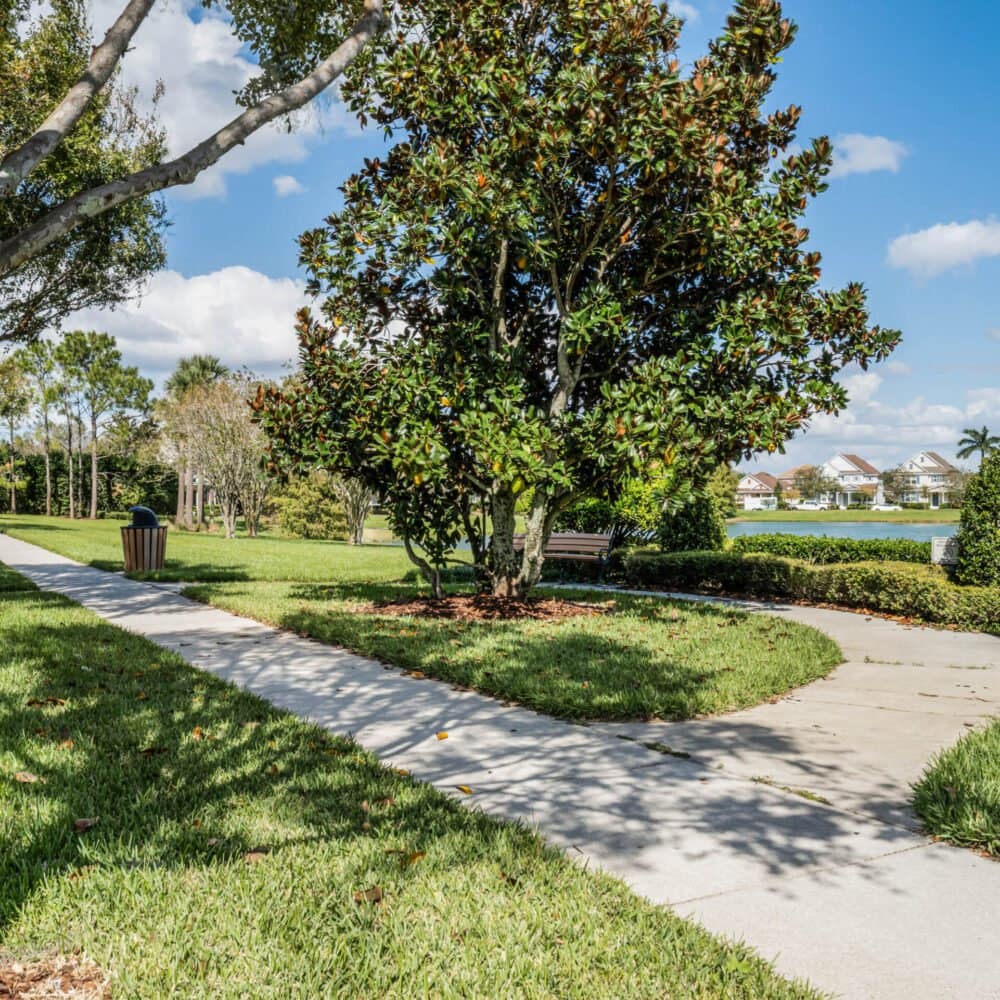 7906-winter-wren-street-winter-garden-fl-34787-07-scaled-1000x1000 7906-winter-wren-street-winter-garden-fl-34787-07-scaled-1000x1000
