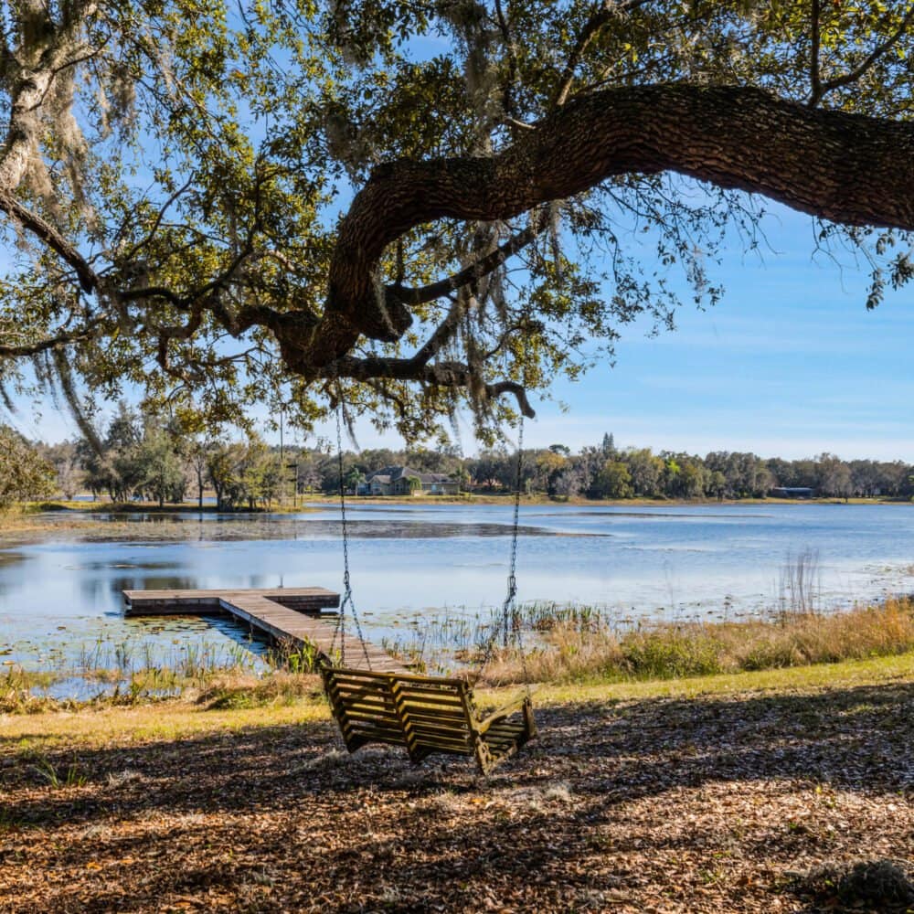 17525-seidner-road-winter-garden-fl-34787-44-scaled-1000x1000