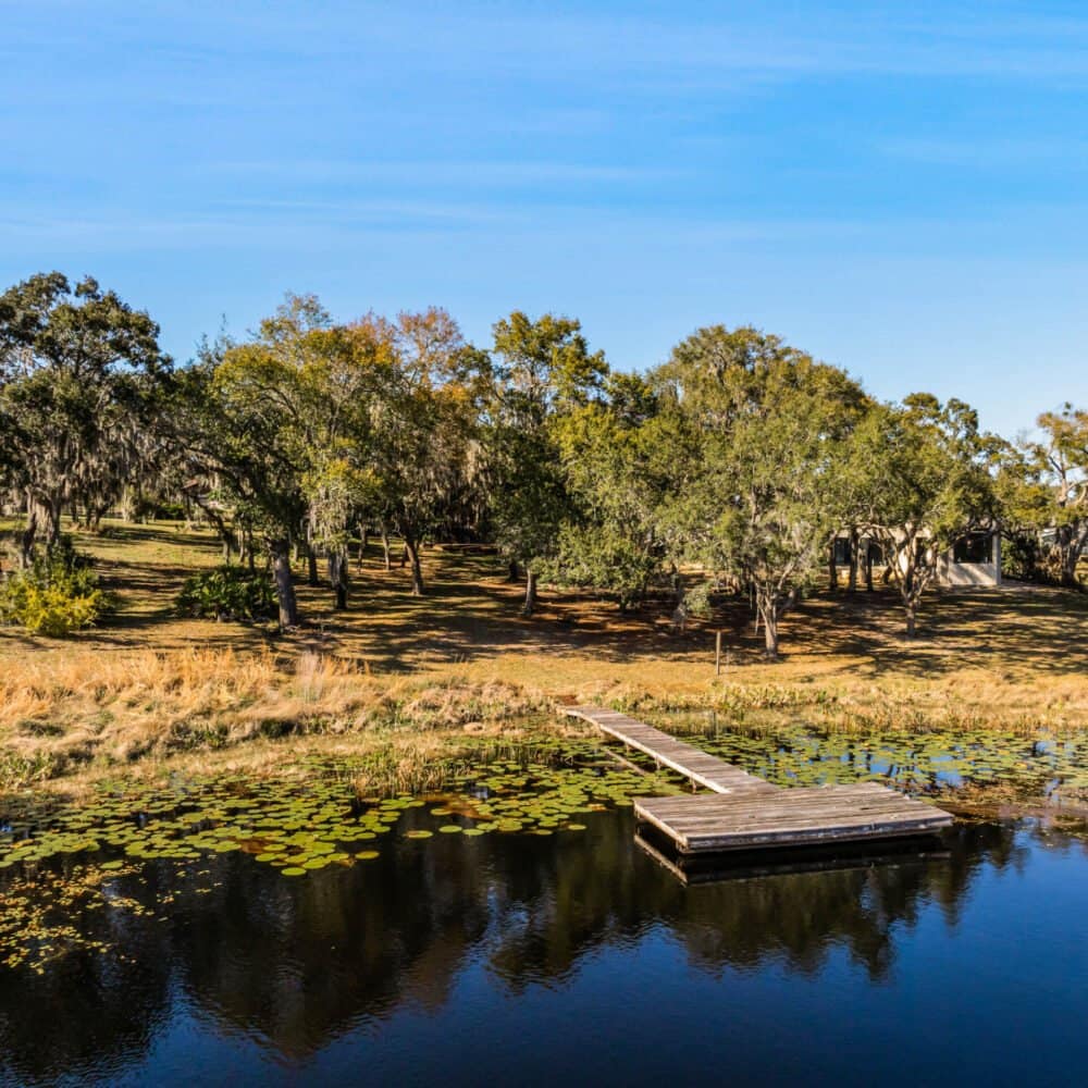 17525-seidner-road-winter-garden-fl-34787-46-scaled-1000x1000