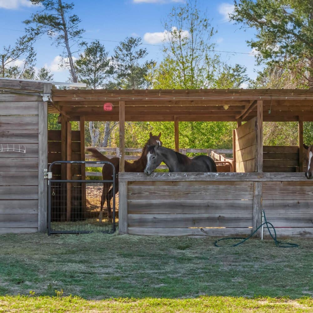 2400-williams-road-winter-garden-fl-34787-76-scaled-1000x1000