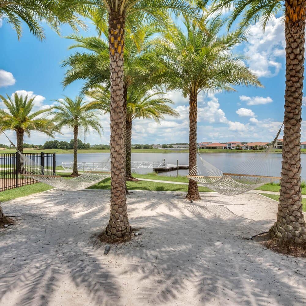 lakeshore-3--1000x1000