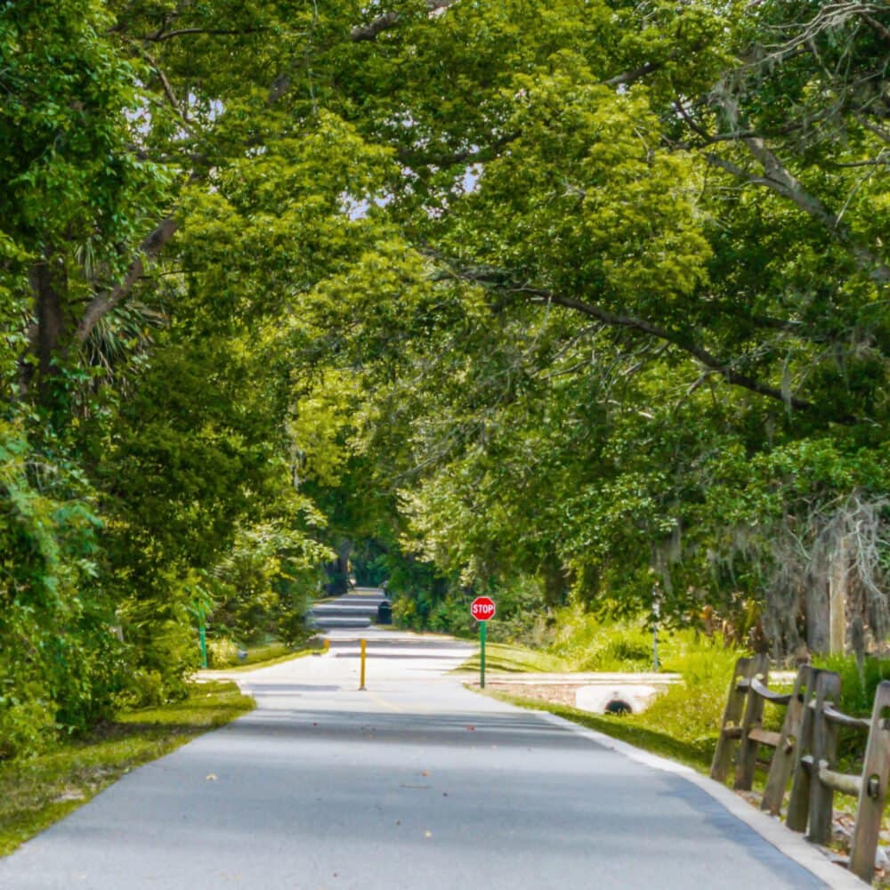 818-walkers-grove-lane-winter-garden-fl-34787-48-scaled-1000x1000