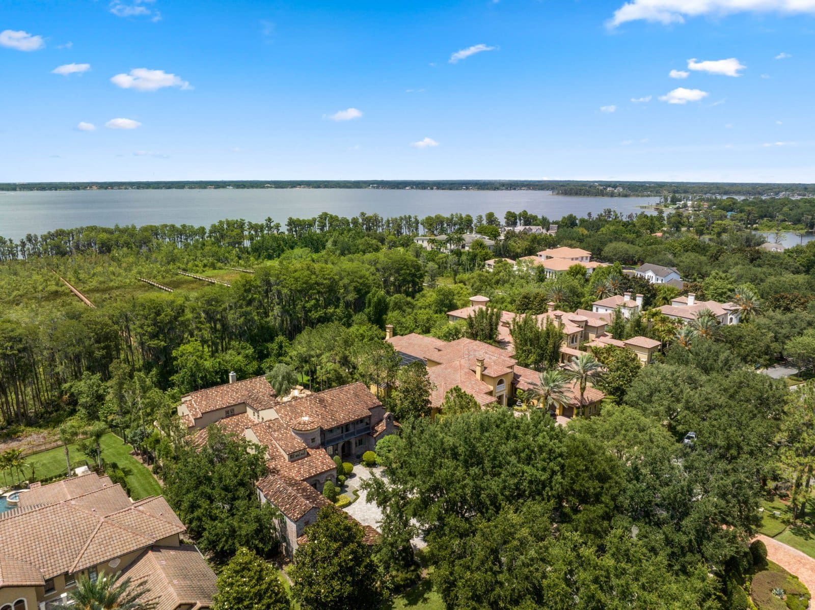 11019-bridge-house-road-windermere-fl-34786-121-scaled