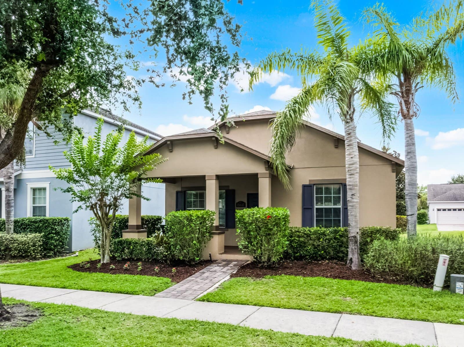 large-01974087-4dae-7012-a0bb-6ab8b43ed605