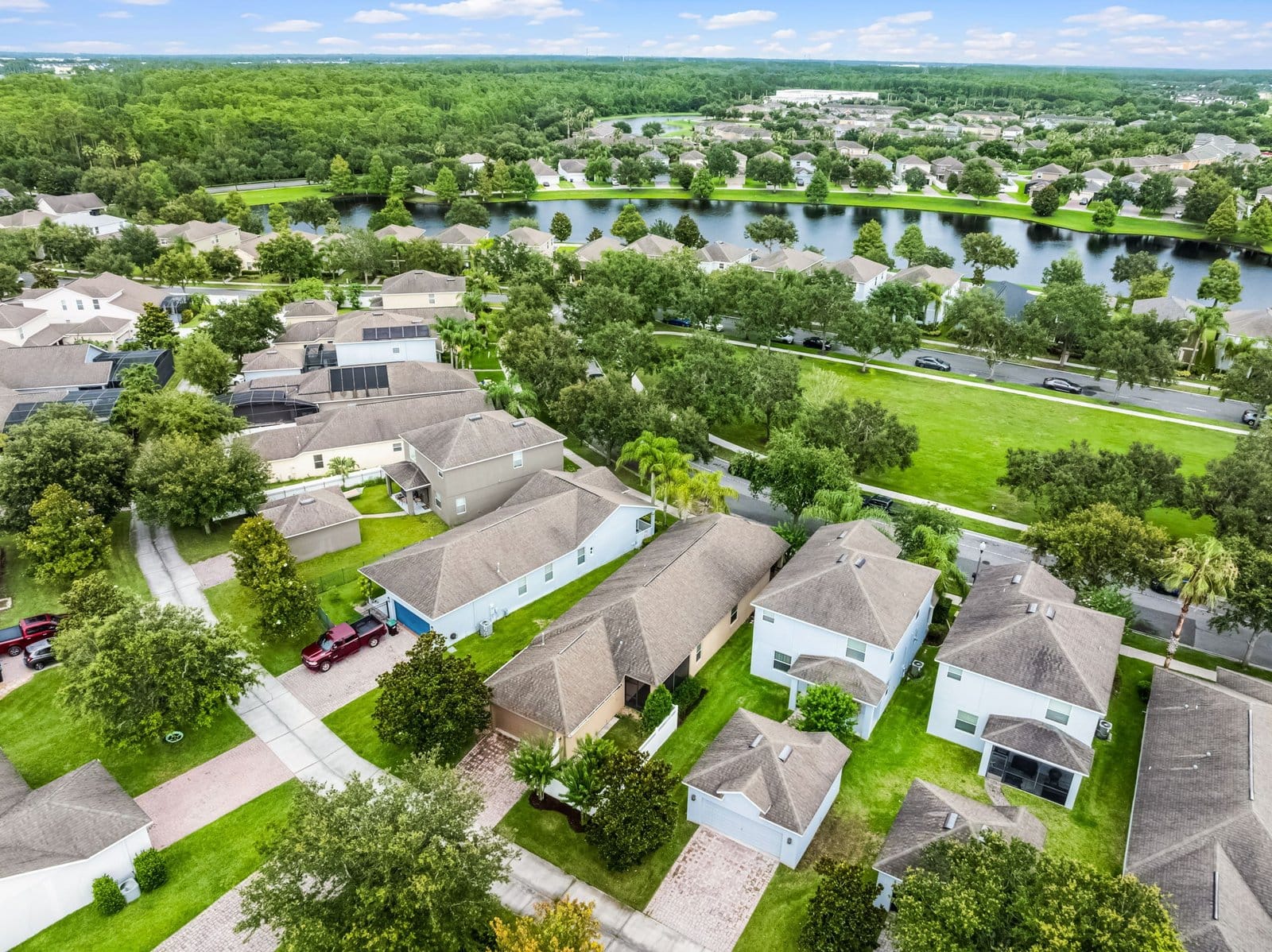 large-01974087-5321-73e3-aa62-368a88061433