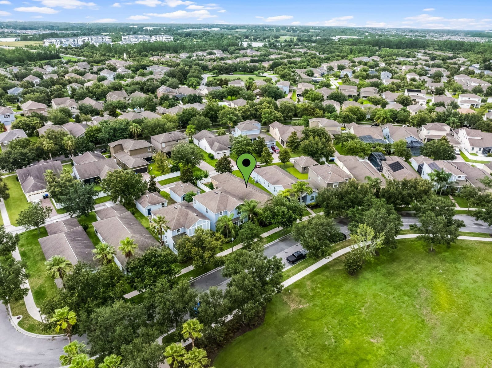 large-01974087-552f-71f3-950f-29d6a78df184