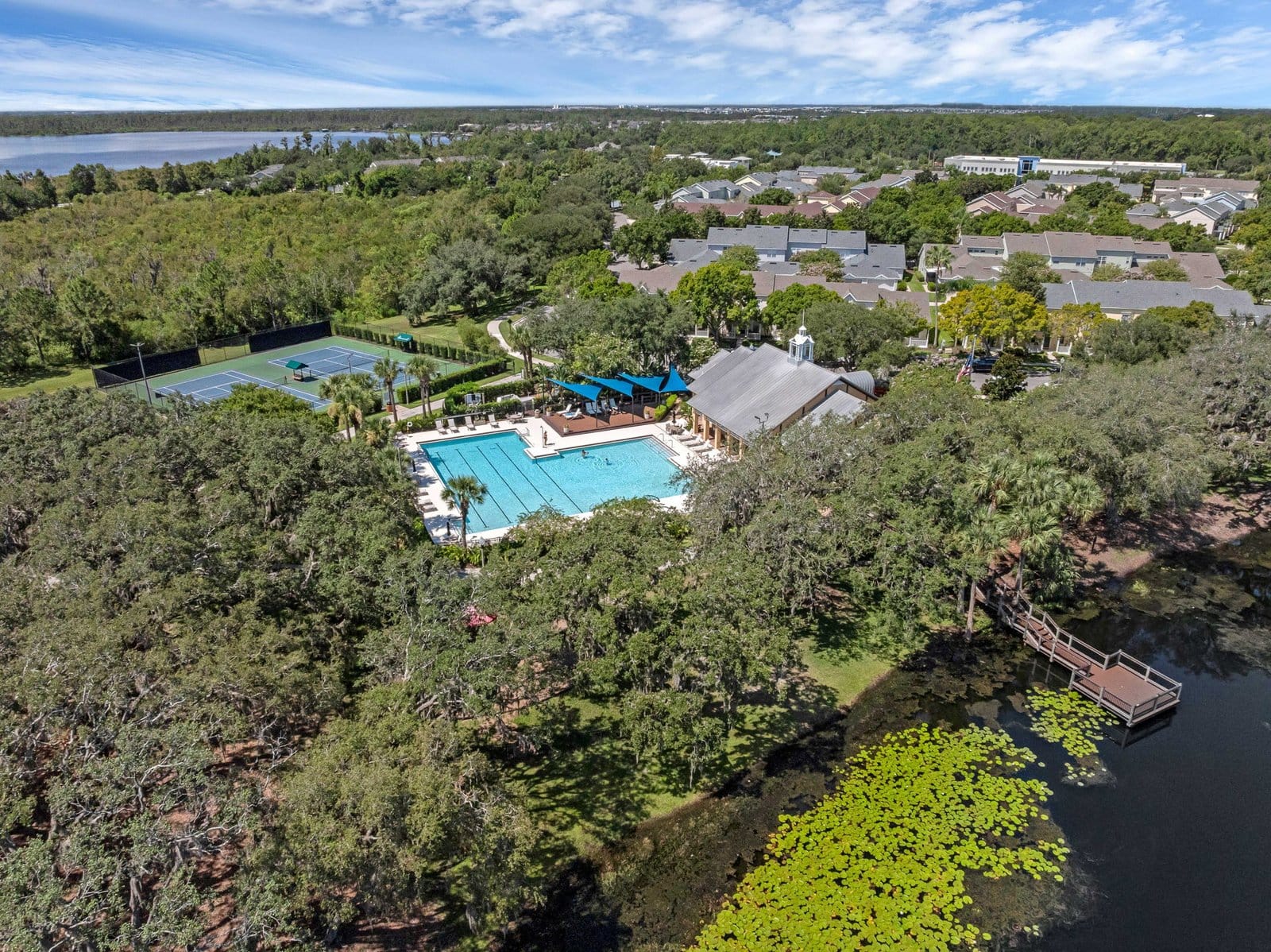 25-web-or-mls-5318 Kumquat Loop-Windermere, FL 34786 Aerial - 18