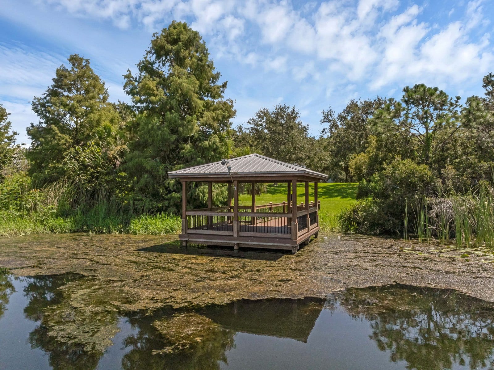 29-web-or-mls-5318 Kumquat Loop-Windermere, FL 34786 Aerial - 22