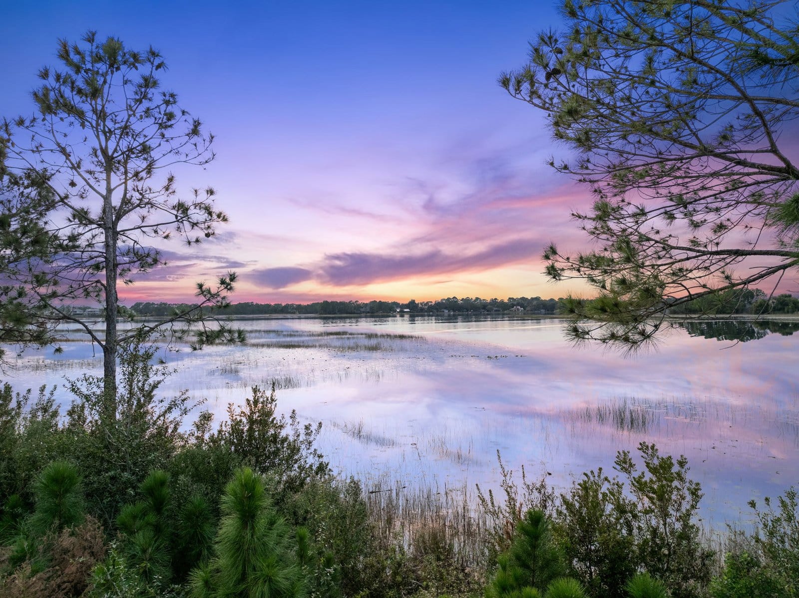 56-web-or-mls-8613_Bayview_Crossing_Dr__Winter_Garden__FL_34787_DJI_20260113175206_0244_D