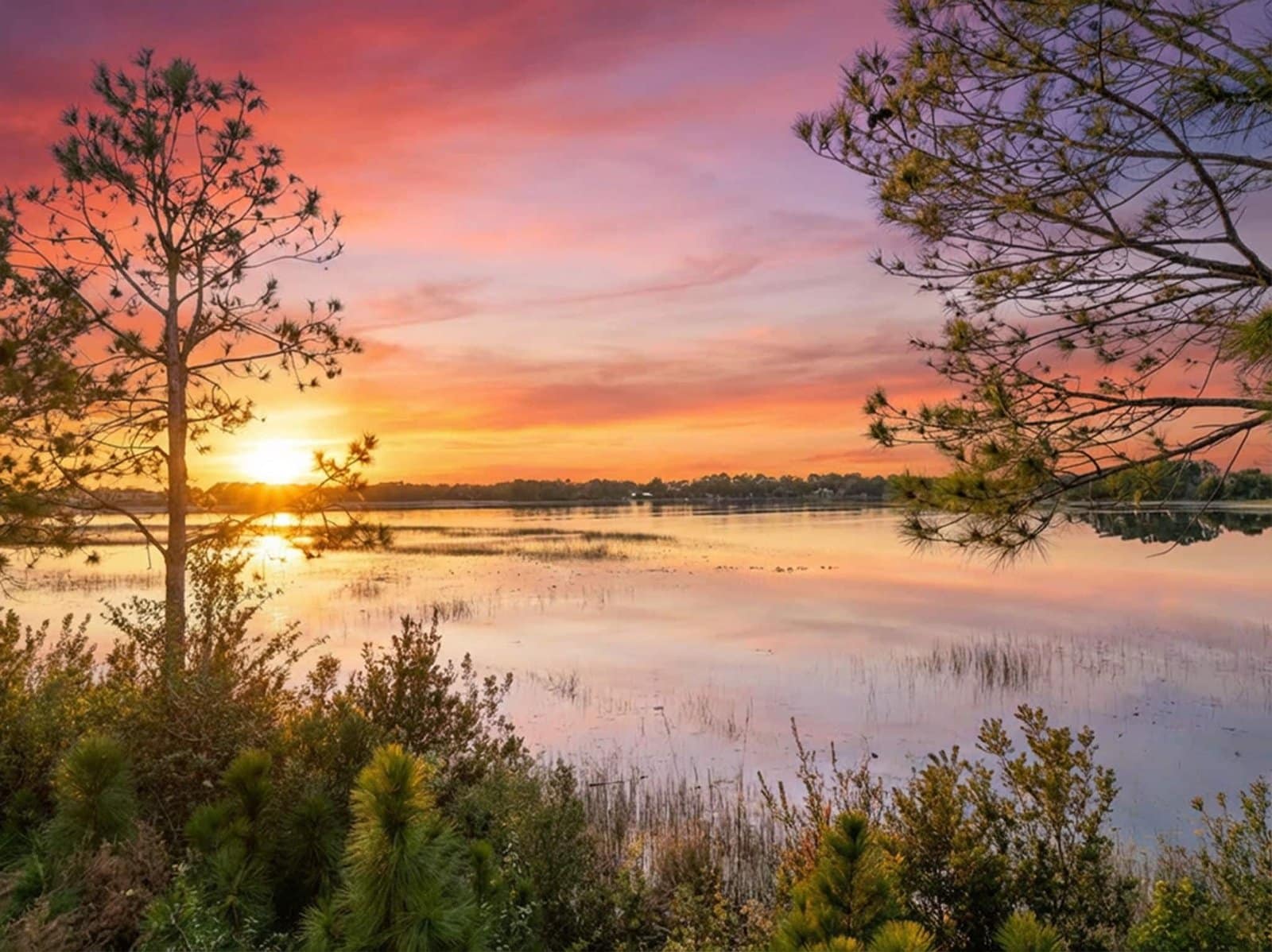 6-web-or-mls-6-web-or-mls-8613_Bayview_Crossing_Dr__Winter_Garden__FL_34787_DJI_20260113175206_0244_D