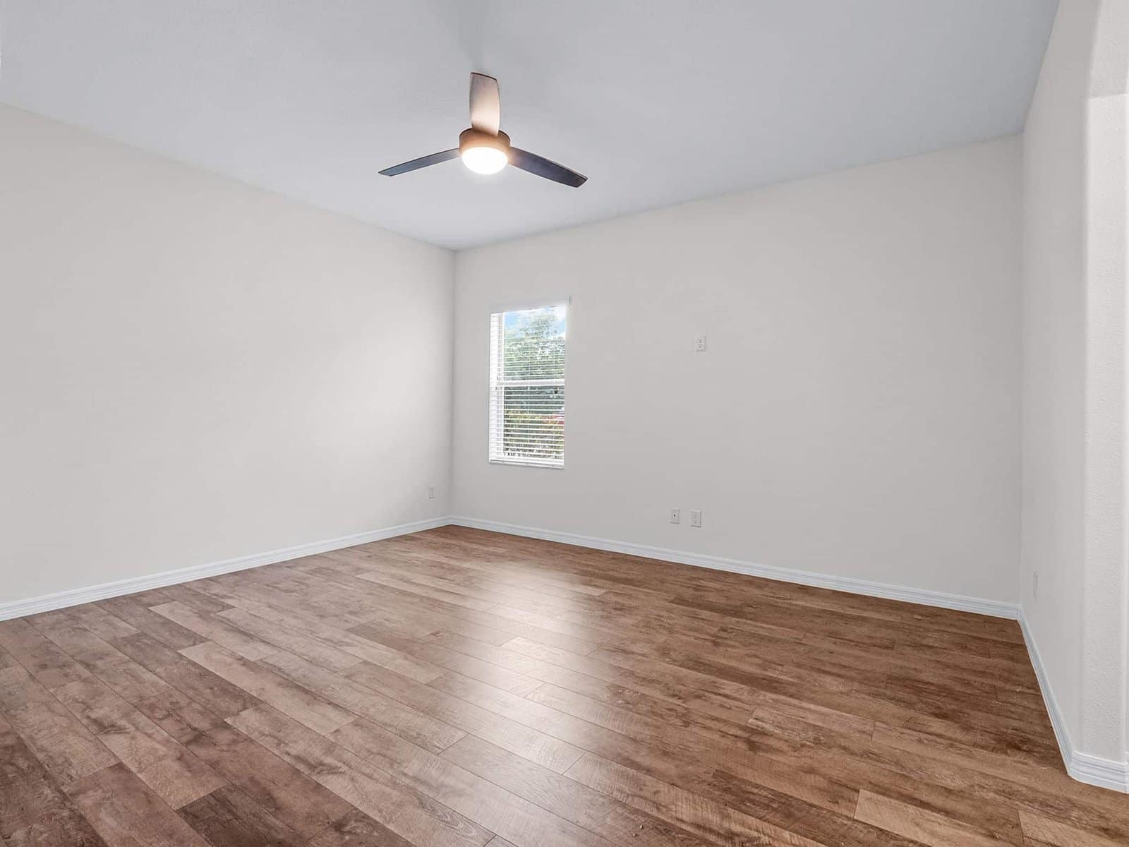 large-01974087-5149-7186-8b1b-fb9974da069a