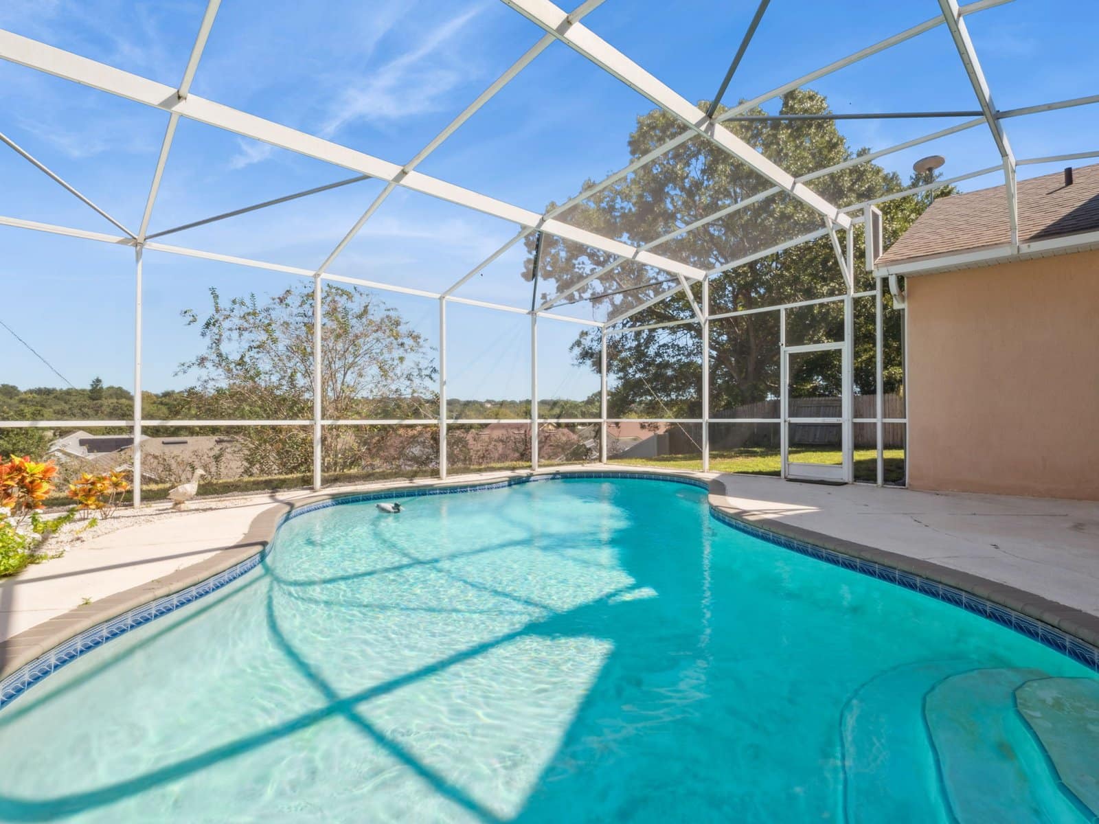 10-web-or-mls-808_High_Pointe_Cir__Minneola__FL_34715-18523_P1617754