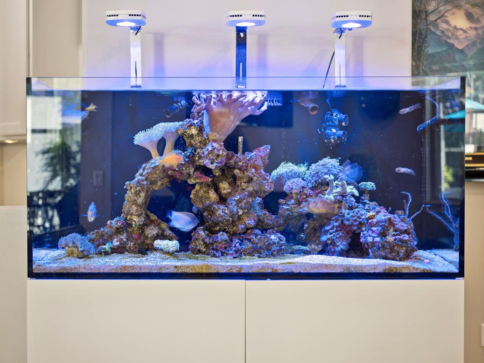 28-web-or-mls-7254_Enchanted_Lake_Dr__Winter_Garden__FL_34787-18517_P1098881