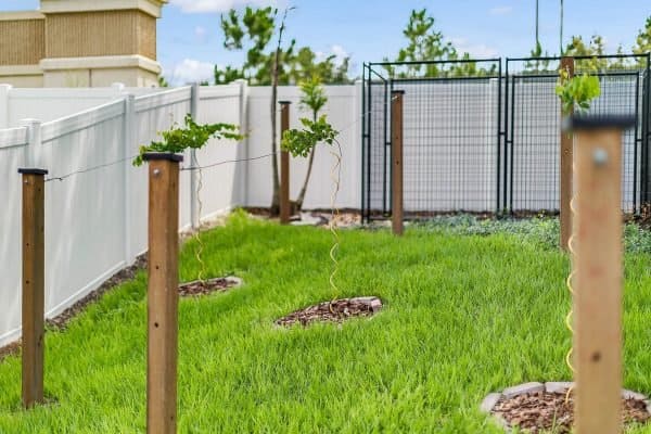 2989-Park-Meadow-Dr-Apopka-FL-32703-24-Backyard-600x400-1