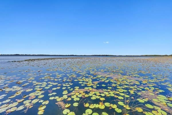 10435-Woodward-Winds-Dr-Orlando-FL-32827-12-600x400-1 10435-Woodward-Winds-Dr-Orlando-FL-32827-12-600x400-1