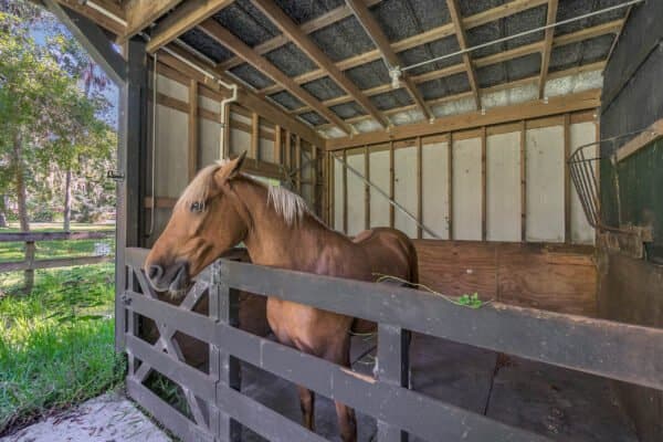 634-south-country-club-road-lake-mary-fl-32746-42-1-scaled-600x400