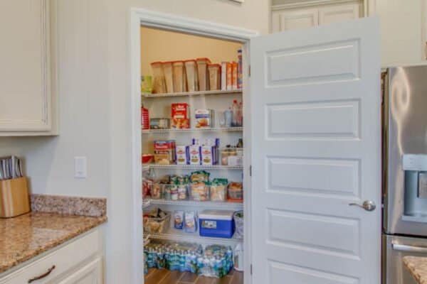 10175-shallow-water-dr-winter-garden-fl-34787-15-scaled-600x400