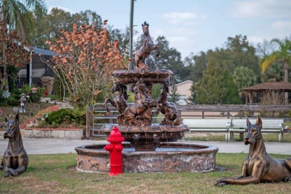 15615-county-road-474-clermont-fl-34714-93-scaled-600x400